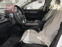 بي واي دي ديستروير 05